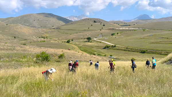 Home Herbal Pharmacy Pilot Course in Italy